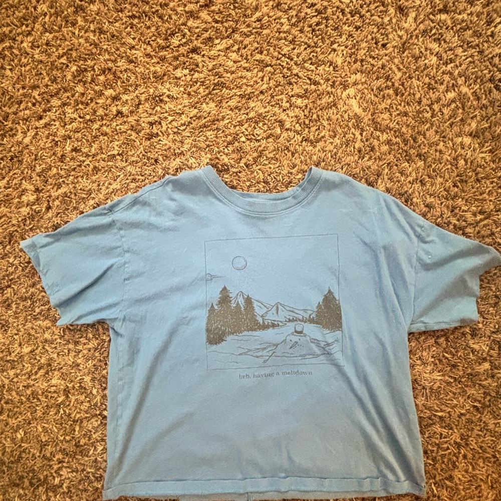Cropped Blue Graphic T-Shirt from American Eagle. Women’s size M.
